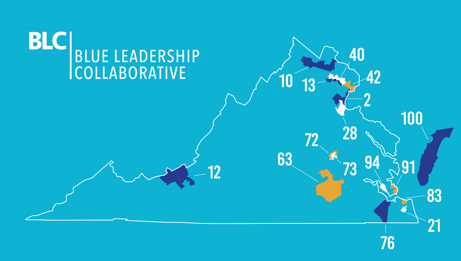 2021 VA Program — Blue Leadership Collaborative